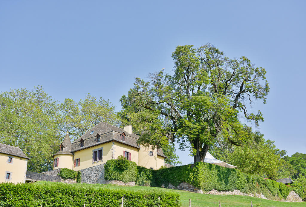 Chateau De Salles Vézac Exteriör bild